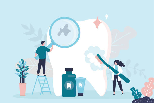 Best Traditional Braces  in Oakland, FL